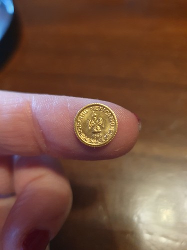 Moneta più piccola mondo - più,
