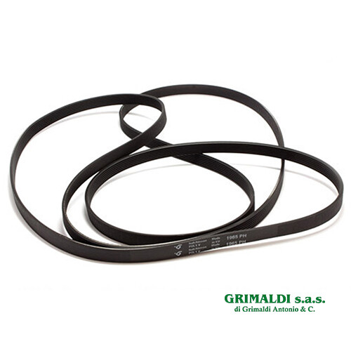 Cinghia poly per - cinghia,