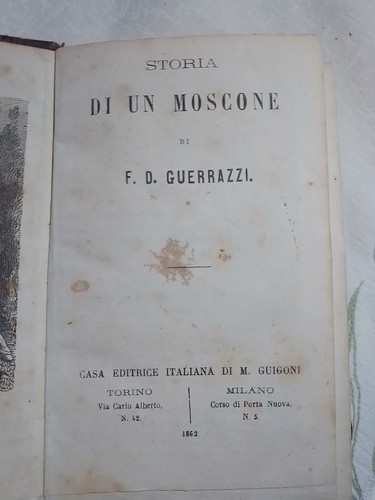 Guerrazzi storia di un - f.d.guerrazzi,