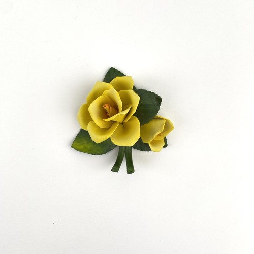 Rose gialle foglie - rose,