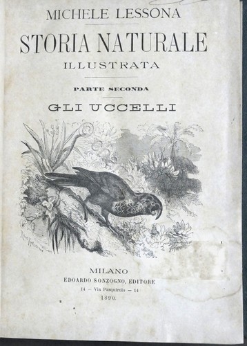 Lessona storia naturale - m.,