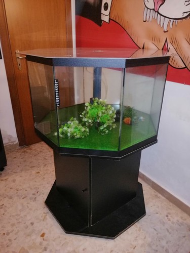 Acquario completo 300 litri - completo,