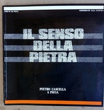 Il senso della pietra Pietro