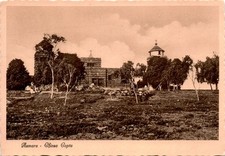 Asmara, Chiesa Copta, La