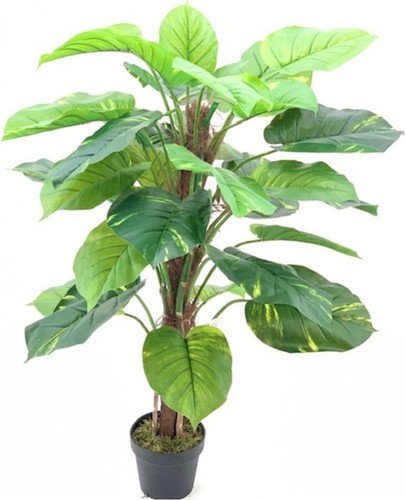 Pianta artificiale vaso - pianta,