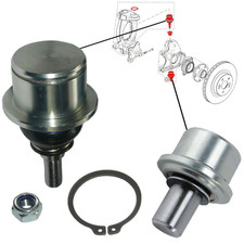 Rotules inférieur et