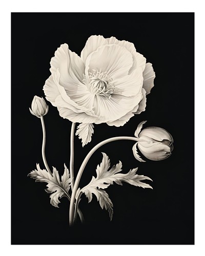 Eleganti fiori arte - , da