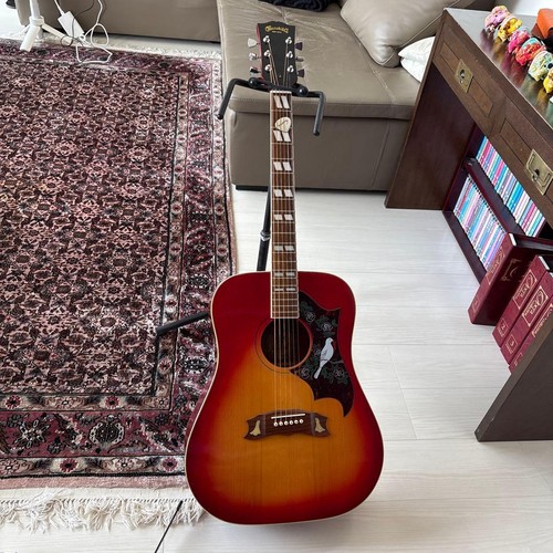 Chitarra acustica suzuki - chitarra, &