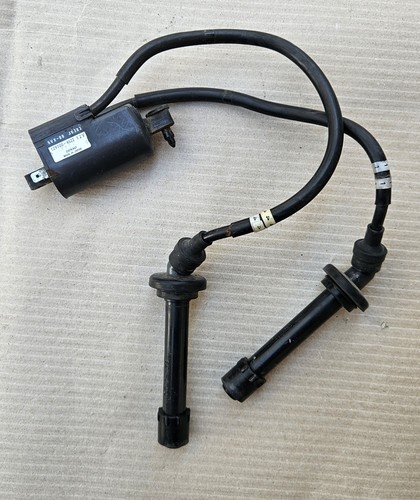 Bobina accensione denso - accensione,