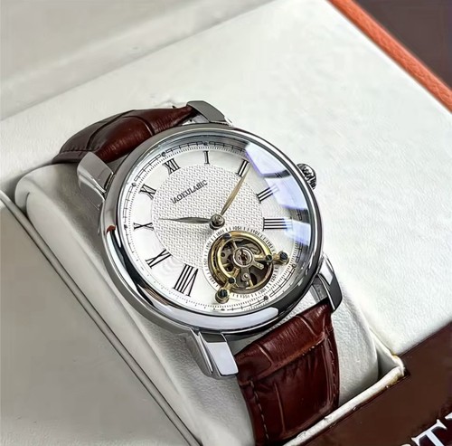 Luxury mechanical tourbillon - luxury,
