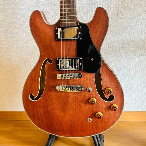 Chitarra elettrica