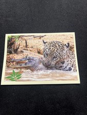 Noi Animali L’unione Fa La