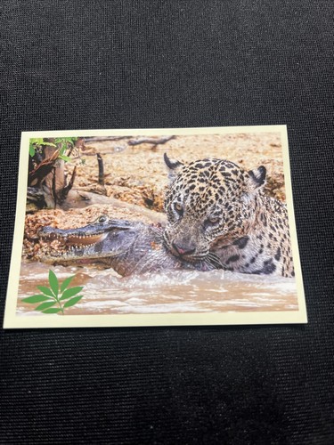 Noi animali unione - animali, fa