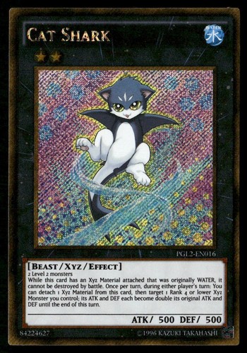 Squalo gatto pgl2 en016 - gatto, pgl2-en016