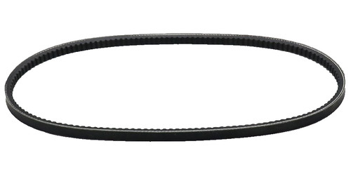 Cinghia dentata piaggio - cinghia,