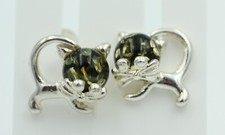 Ambra Orecchini Chiusura a