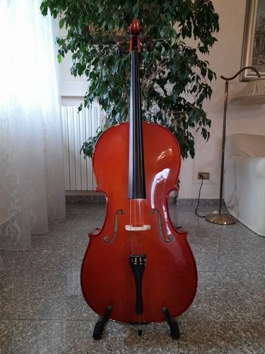Violoncello stentor con - 4/4,
