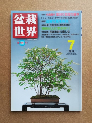 Bonsai world july - july, 2012