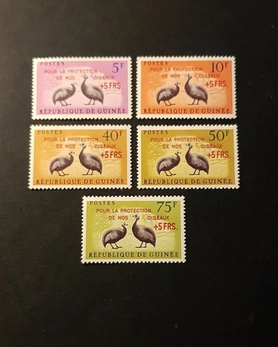 Timbro guinea protezione - timbro,
