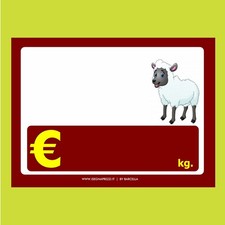 KIT 10 CARTELLINI NEUTRI