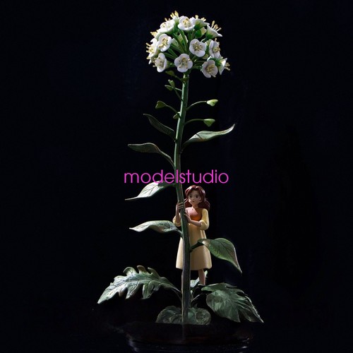 Shenyin studio mondo - il,