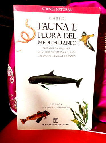 Fauna flora del - fauna,