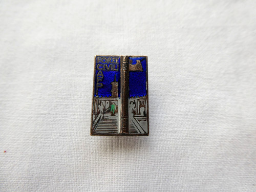 Distintivo pin forze civili - distintivo,