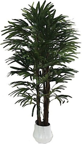 Pianta artificiale fan palm - pianta,