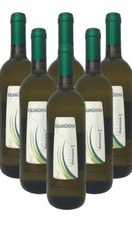Vino Bianco 6 bottiglie