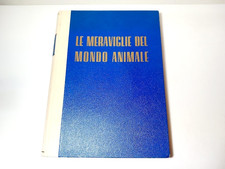 Le meraviglie del mondo