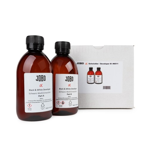 Jobo alpha dev sviluppatore - dev,