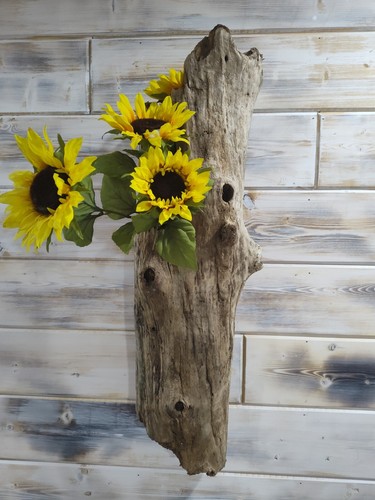 Grande tronco driftwood wall - driftwood,