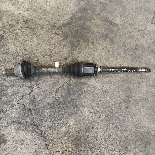 51792056 semialbero ant - semialbero,