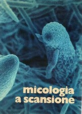 Micologia a scansione