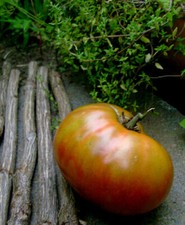 J. D.'s Tex-Mex Special Tomate