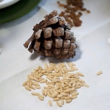 PINOLI sgusciati Pakistani