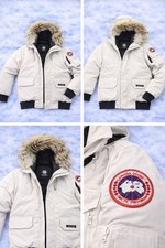 Canada goose - canada,