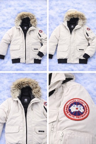 Canada goose - canada,