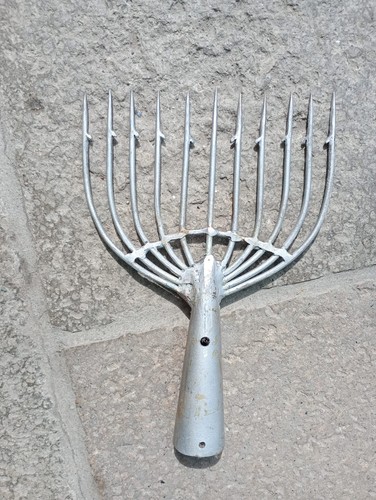 Fiocina comacina pesca - pesca, 11