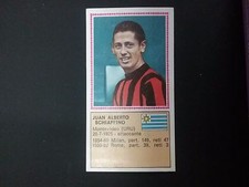 Album Panini Calciatori