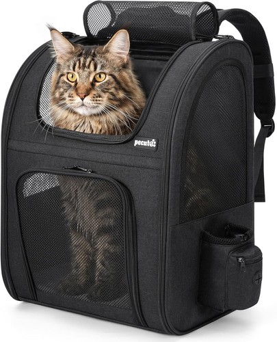 Pecute zaino per - zaino, cani
