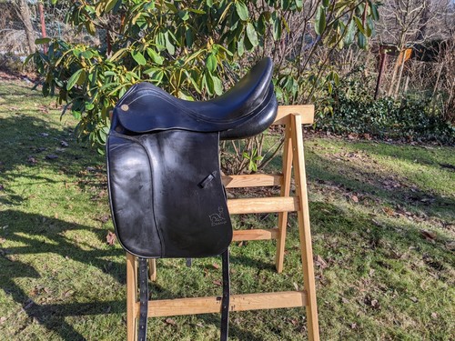 Prestige top dressage - dressage, 17