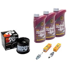 Kit Olio Ispezione 3L Per