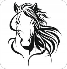 Stencil fai da te scrapbooking