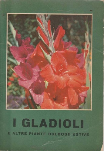Gladioli begonie tuberose - gladioli.,