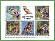 B2409 - Guinea - Foglio francobolli ERRORE ERRORE ERRATO - 2024 - Uccellini, Gufi