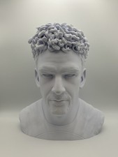 Busto roberto baggio - 3d, diving