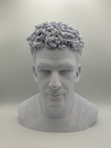 Busto roberto baggio - 3d, diving