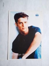 Cartolina vintage brandon - vintage, "brandon