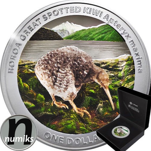 Roroa kiwi 2024 nuova - nuova, zelanda